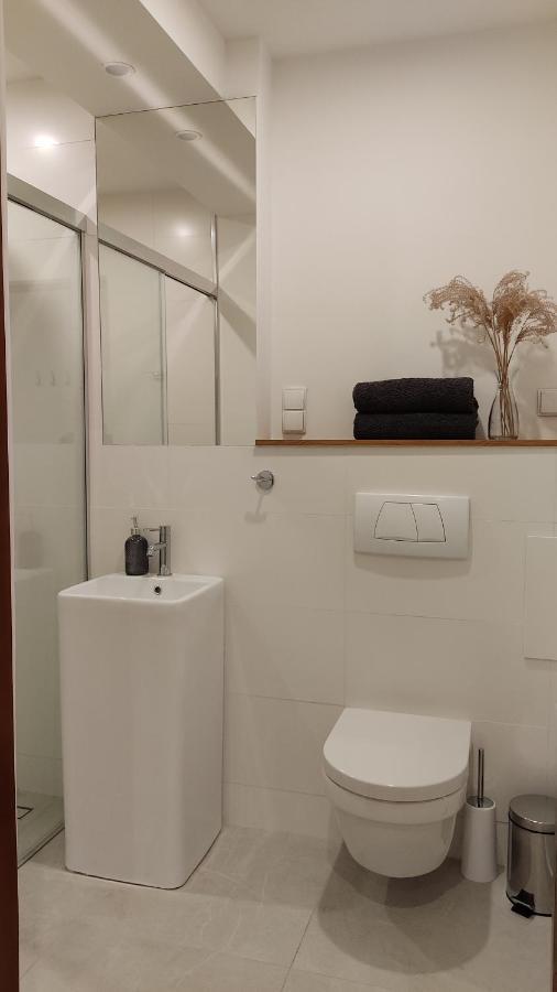 Apartamenty Ceglane Торунь Екстер'єр фото